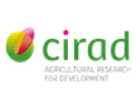 cirad